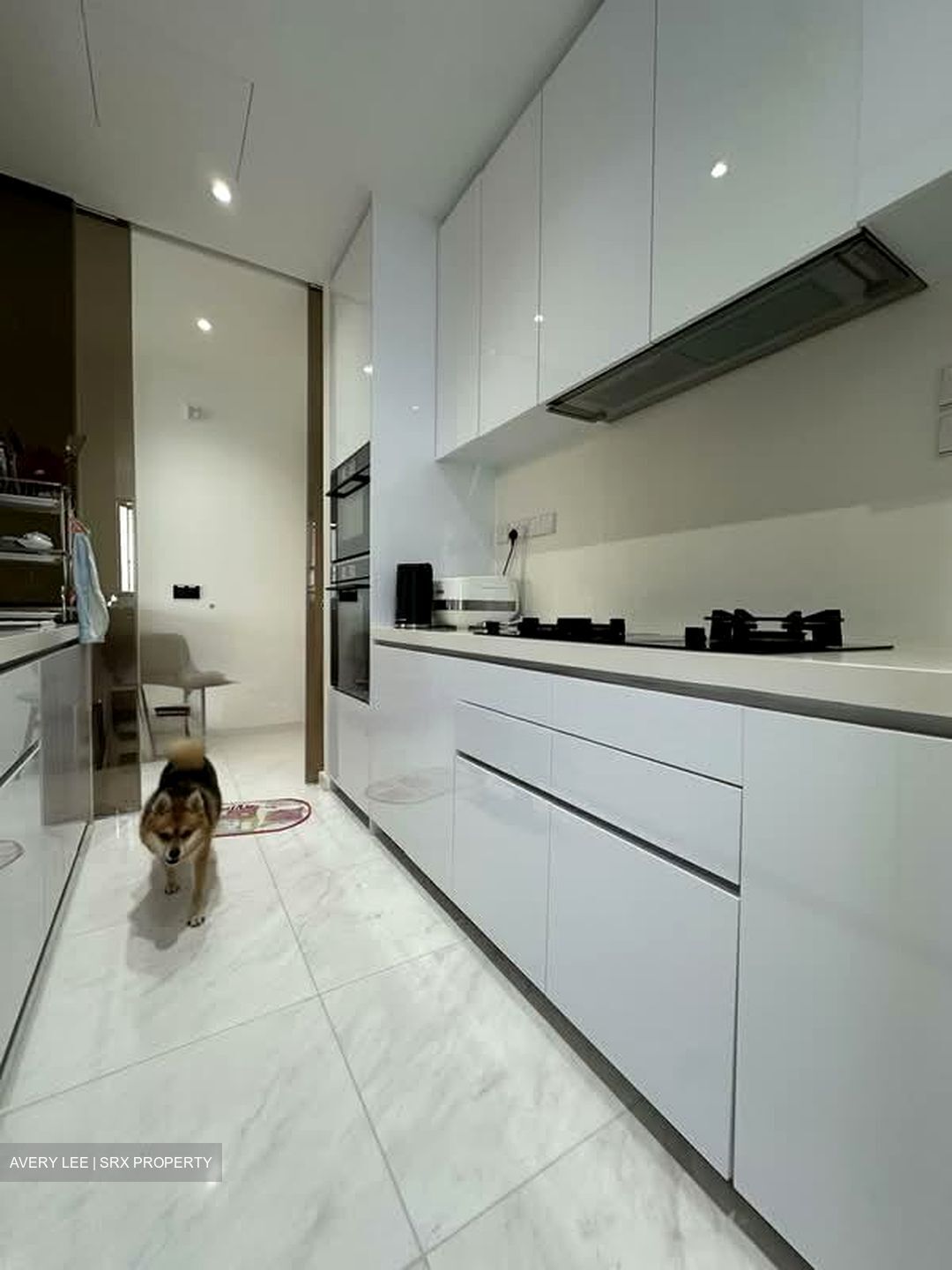 Peak Residence (D11), Condominium #597072601